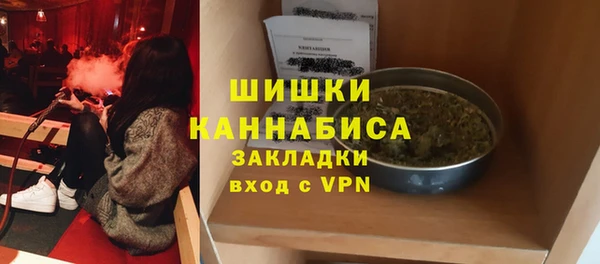 PSILOCYBIN Новодвинск