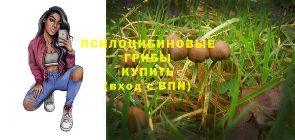 PSILOCYBIN Новодвинск